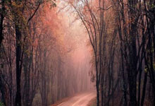 爱游戏体育下载-沃尔夫斯堡继续领跑 德甲榜首稳坐头把交椅,沃尔夫斯堡球员