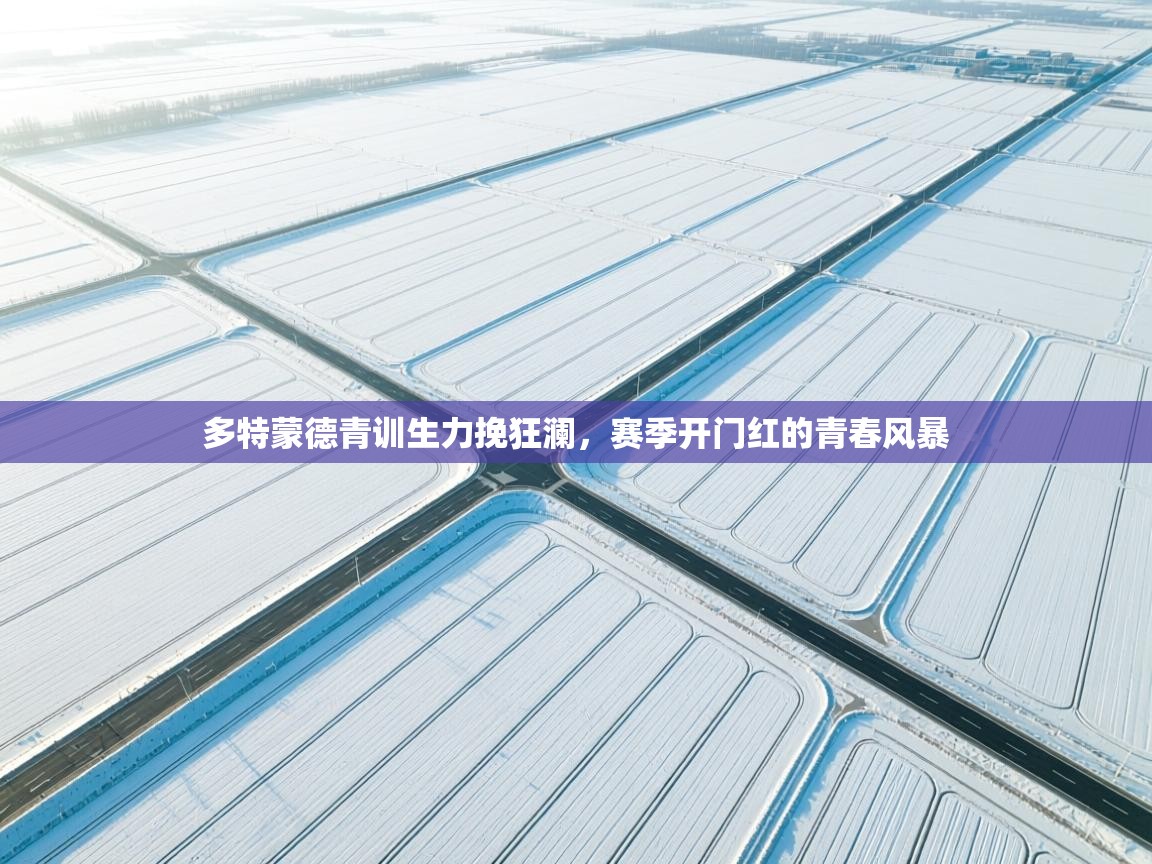 多特蒙德青训生力挽狂澜，赛季开门红的青春风暴  第1张