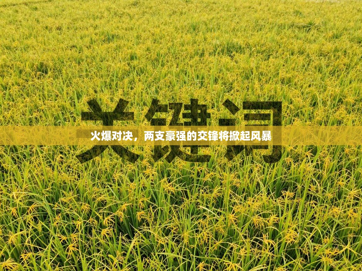 火爆对决，两支豪强的交锋将掀起风暴  第1张