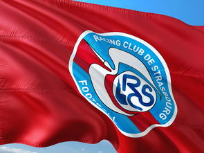 爱游戏体育平台-帕尔梅拉斯赛前战术会议，细节决定比赛胜负